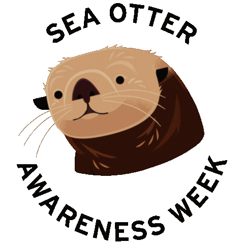sea otter love