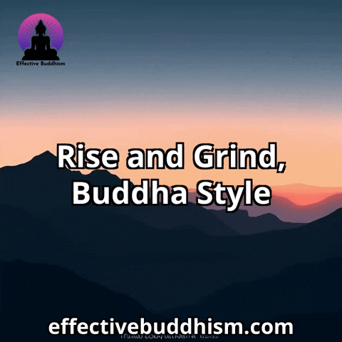 Style Motivation GIF by Effective Buddhism