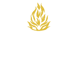 Vegan Bbq Sticker by TheVegetarianButcher