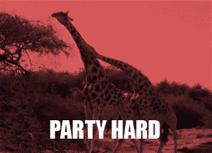 Gif přání k svátku se dvěma tancujícími žirafami a nápisem "Party hard". 