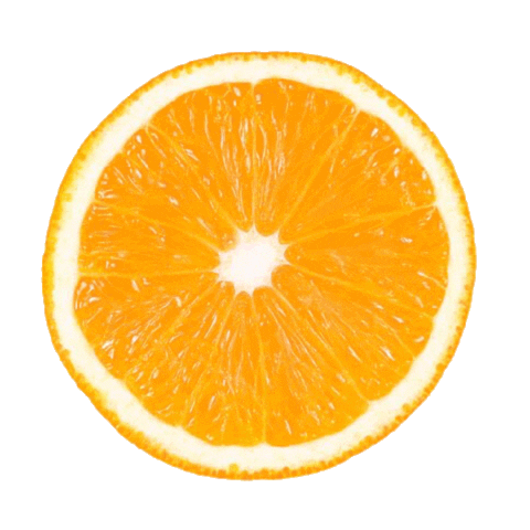 Mimosa Sticker by drink_henlee