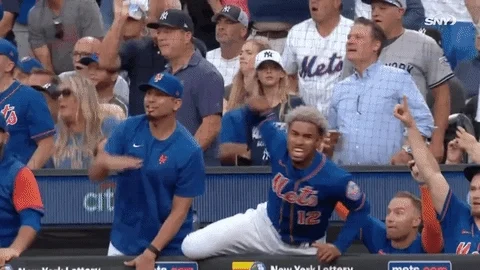 Happy New York Mets GIF