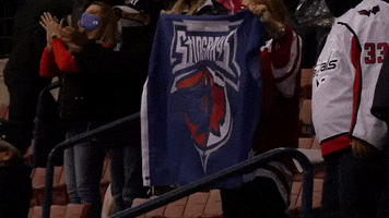 Hockey Flag GIF by SCStingrays
