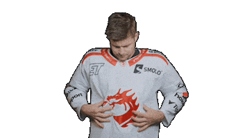 Trinec Sticker by HC Oceláři Třinec
