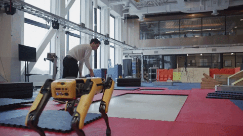 Spot Software Update GIF by BostonDynamics - Find & Share on GIPHY