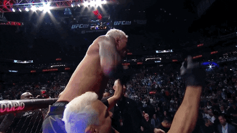 Mixed Martial Arts Fighting GIF