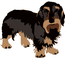 Dog Puppy Sticker by mgissinger