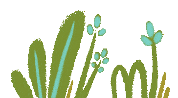 Nature Sticker