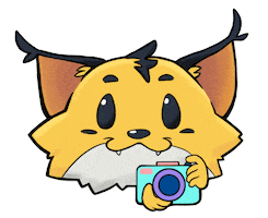 Phone Photo Sticker