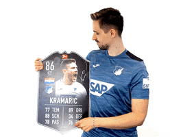 Andrej Kramaric Esports GIF by TSG Hoffenheim