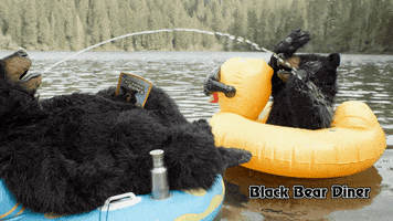 Summer Floating GIF by BlackBearDiner