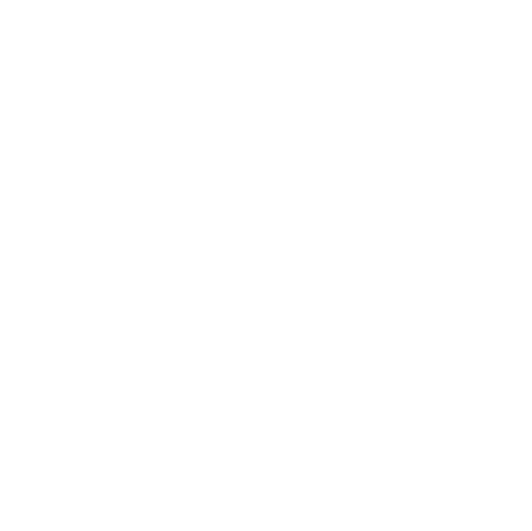 Spacefox Sticker