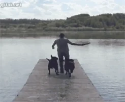 lake no GIF