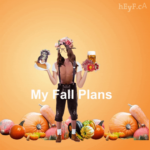 Fall Surprise GIF by HeyF