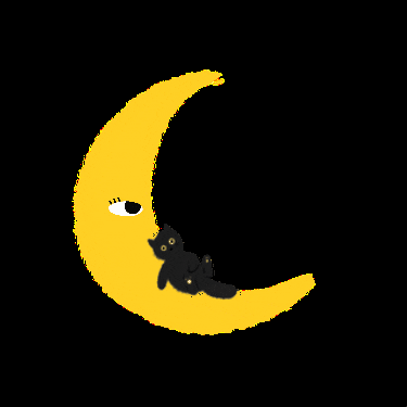 Ggolssen cat night moon sky GIF
