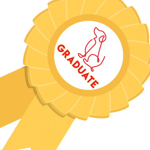 Teachingtailsdogtraining Sticker by Teaching Tails