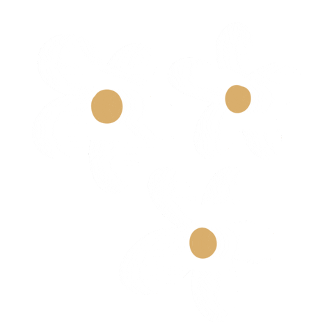 Flowers Daisy Sticker
