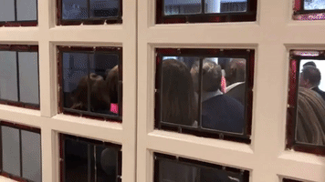 danielknowlton  GIF