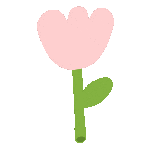animated flower growing