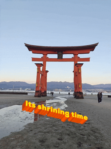 Its Shrining Time GIF