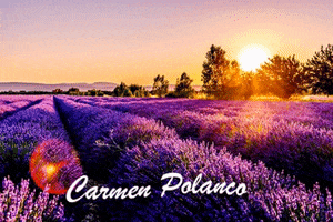 Carmen Polanco GIF