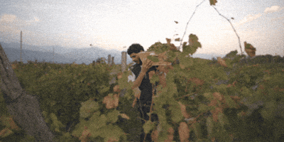 rtvelisi GIF
