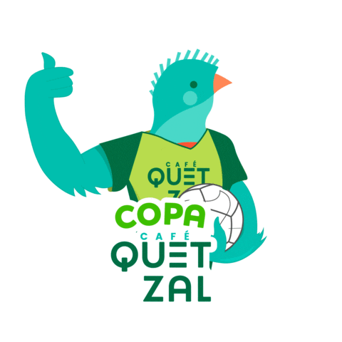 Futbol Quetzal Sticker by Coopedota