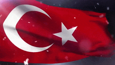 Giphy - Flag Turkey GIF