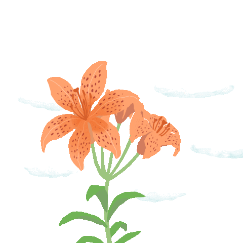 White Cloud Flower Sticker by yobegrafika
