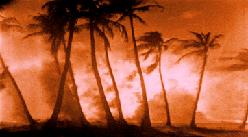 Fire GIF