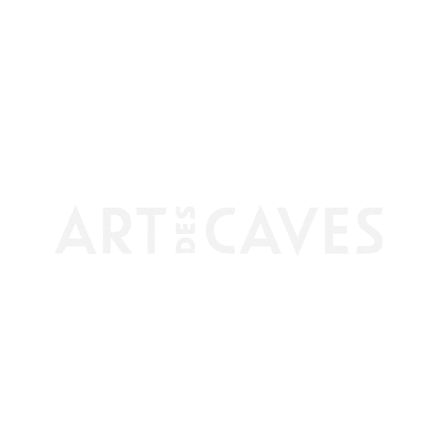 Art Des Caves Sticker