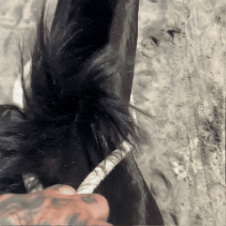 Dayvonross GIF by dave
