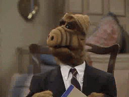 Image result for alf gif