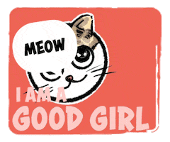 Cat Sticker