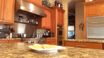 food thief GIF by America's Funniest Home Videos