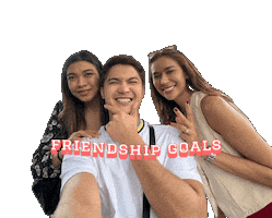 Alyssa Valdez Friendship Sticker
