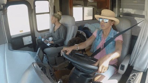 Family Road Trip GIFs - Get the best GIF on GIPHY