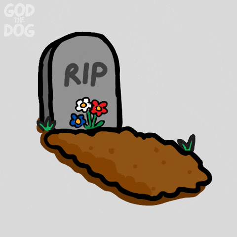 Im Back No Way GIF by God The Dog