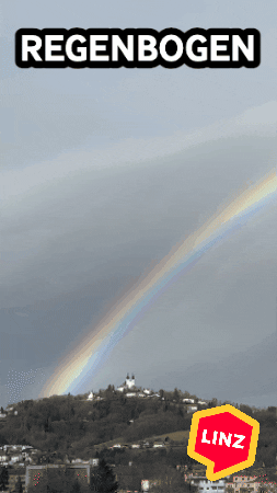 Rainbow Wow GIF by Linz News