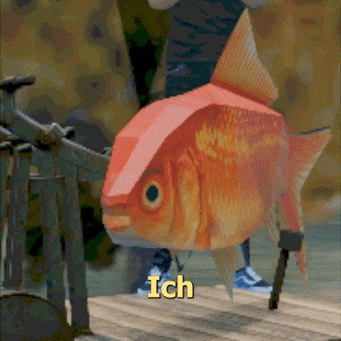 Goldfisch GIF