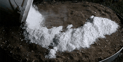 Snakes And Sparklers GIFs - Find & Share on GIPHY