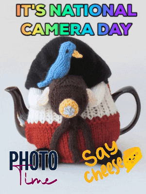 Say Cheese Smile GIF by TeaCosyFolk