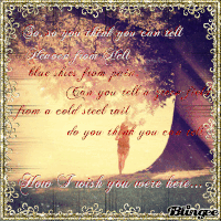 Best Wish You Were Here Gifs Primo Gif Latest Animated Gifs