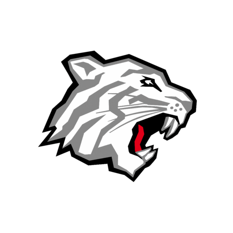 Nürnberg Ice Tigers Sticker