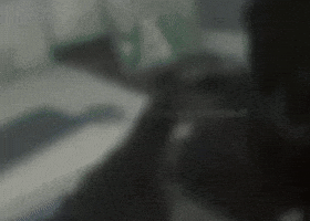 Friendly Fire GIF