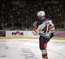 Djurgården GIF