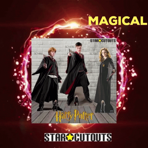 Harry Potter Cardboard Cutout GIF by STARCUTOUTSUK