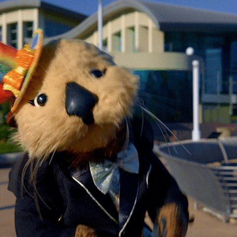 Top Hat Puppet GIF by Aquarium of the Pacific