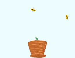 Grow Honey Bees GIF