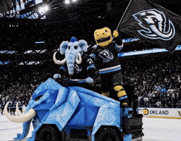 Golden Knights GIF